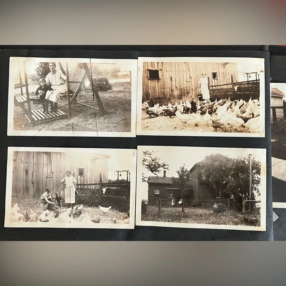 Vintage Black/White Photography Collection dated 1900’s-40’s few cabinet cards - Picture 12 of 16